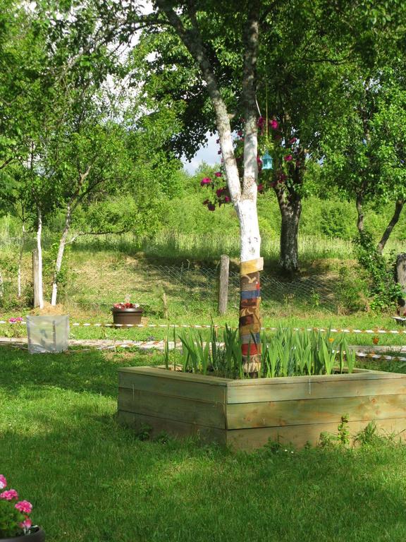 Apartments Eco Forest Resort Rakovica Εξωτερικό φωτογραφία