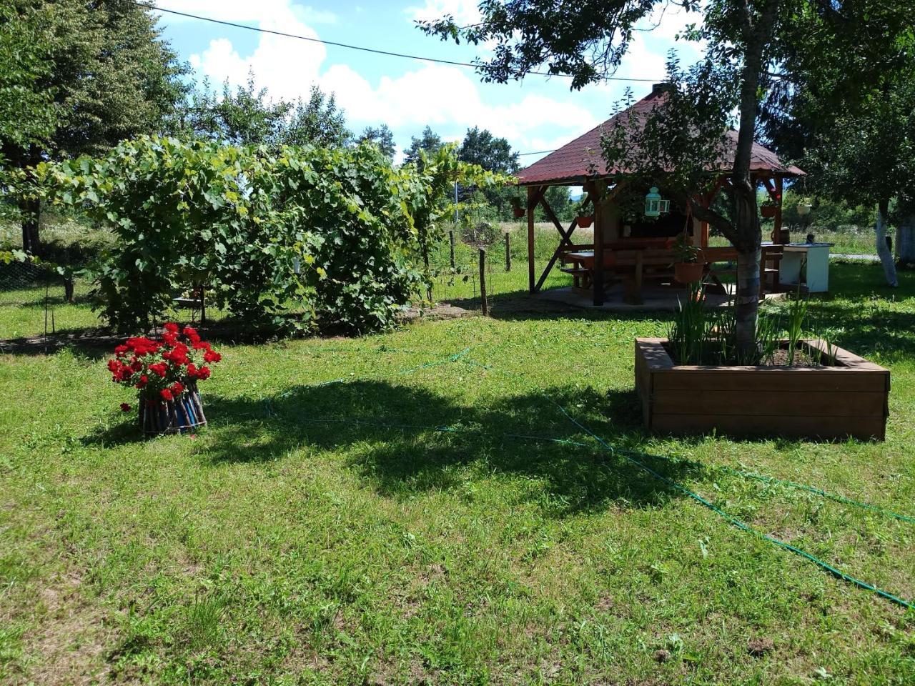 Apartments Eco Forest Resort Rakovica Εξωτερικό φωτογραφία
